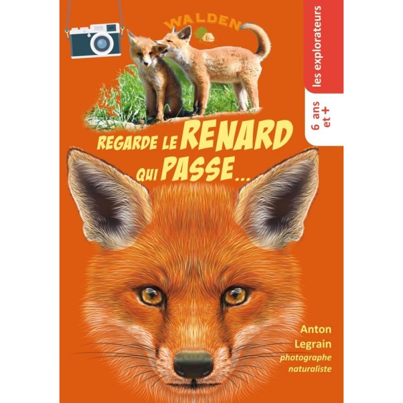 Regarde le renard qui passe Regarde le renard qui passe