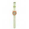 Montre Raton laveur