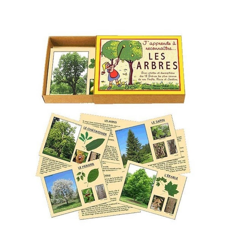 J'apprends à reconnaître les arbres J'apprends à reconnaître les arbres
