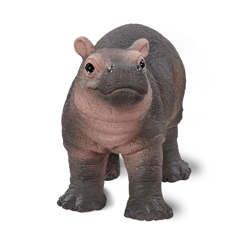 Jeune hippopotame - Wild Life Jeune hippopotame - Wild Life