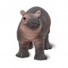 Jeune hippopotame - Wild Life