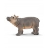Jeune hippopotame - Wild Life