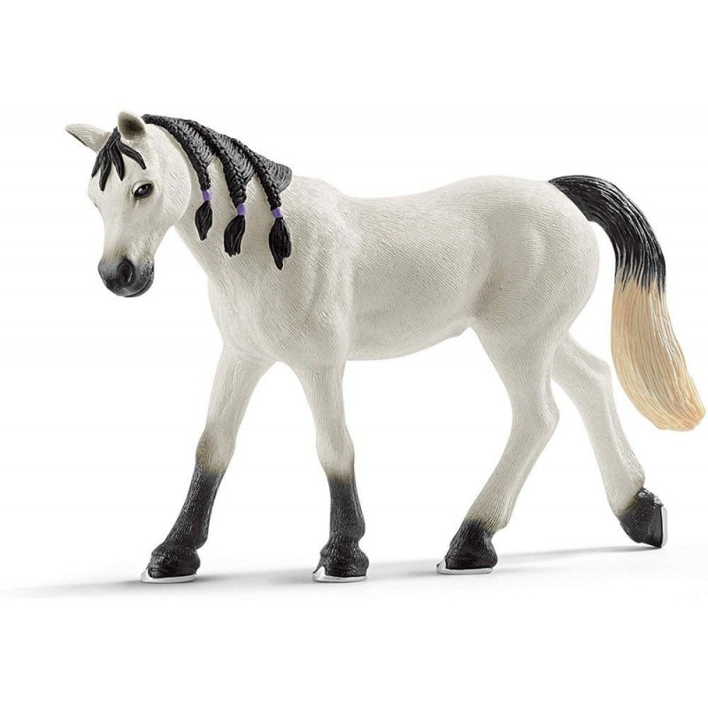 Jument arabe - Horse Club Jument arabe - Horse Club