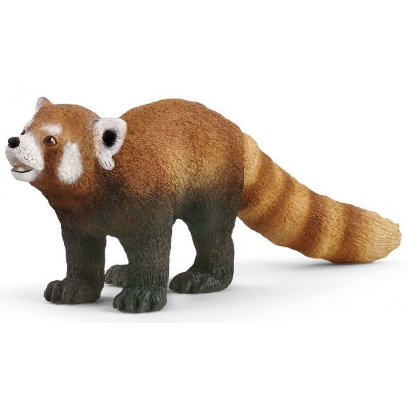 Panda roux - Wild Life Panda roux - Wild Life