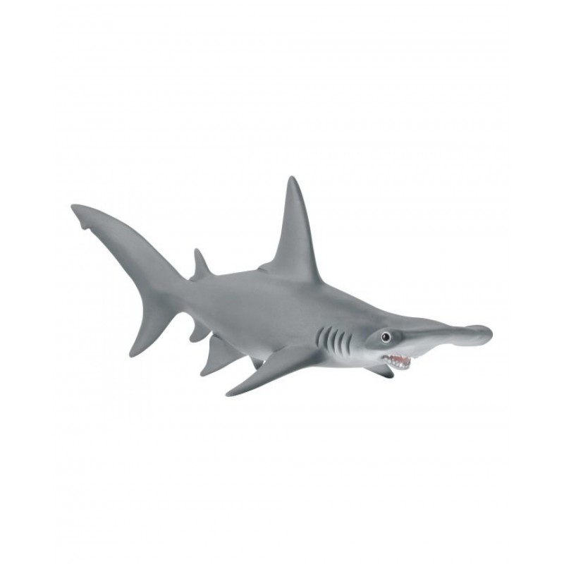 Requin-Marteau - Wild Life Requin-Marteau - Wild Life