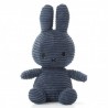 Lapin moyen nijntje miffy bleu