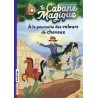 La cabane magique - Tome 13 : A la poursuite des voleurs de chevaux