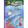 La cabane magique - Tome 12 : Sauvés par les dauphins