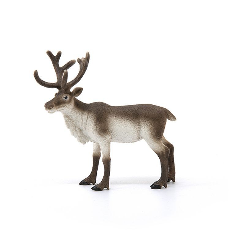 Renne - Wild Life Renne - Wild Life