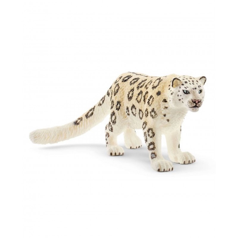 Léopard des neiges -Wild Life Léopard des neiges -Wild Life
