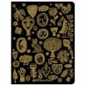 Cahier chic Aurélia