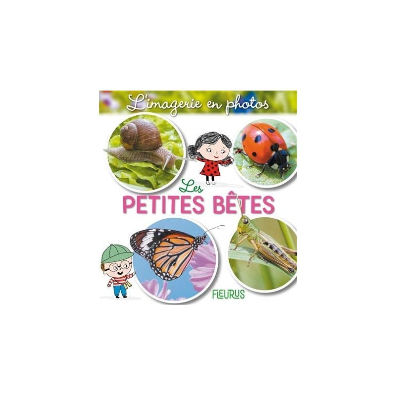 Les petites bêtes Les petites bêtes