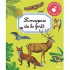 L'imagerie de la forêt
