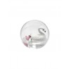 Bulle d'eau Famille - Cygnes