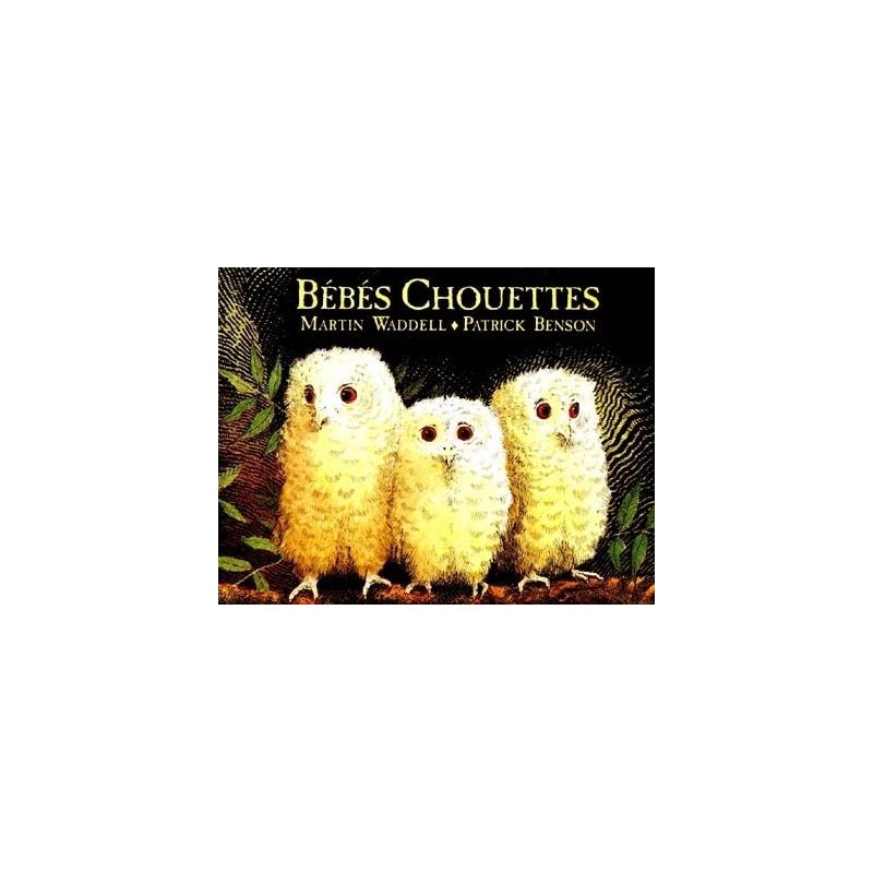 Bébés chouettes Bébés chouettes