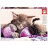 Puzzle 500 pièces - Compagnons de rêves