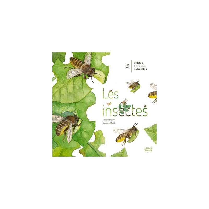 Les insectes Les insectes