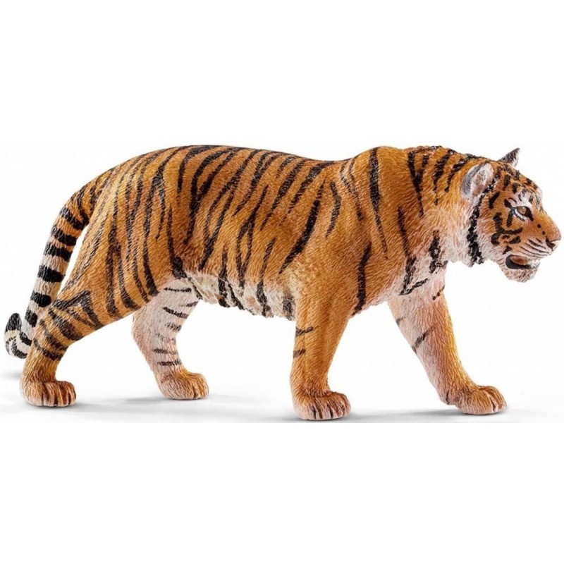 Tigre du Bengale - Wild Life Tigre du Bengale - Wild Life