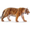 Tigre du Bengale - Wild Life