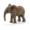 Eléphanteau d'Afrique - Wild Life