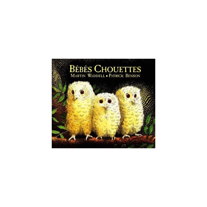Bébés chouettes Bébés chouettes