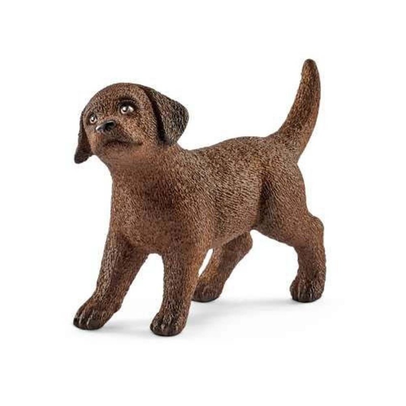 Chiot labrador retriever - farm World Chiot labrador retriever - farm World