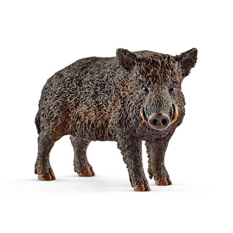 Sanglier - Wild Life Sanglier - Wild Life