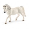 Jument lipizzan - Horse Club