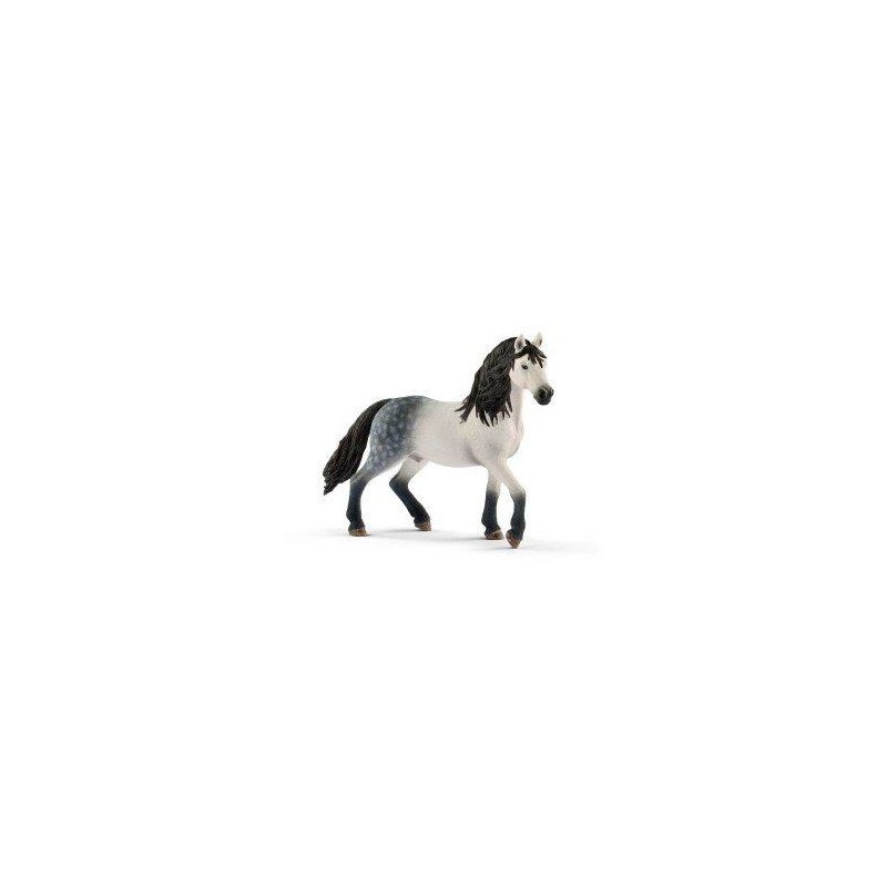Etalon andalou - Horse Club Etalon andalou - Horse Club
