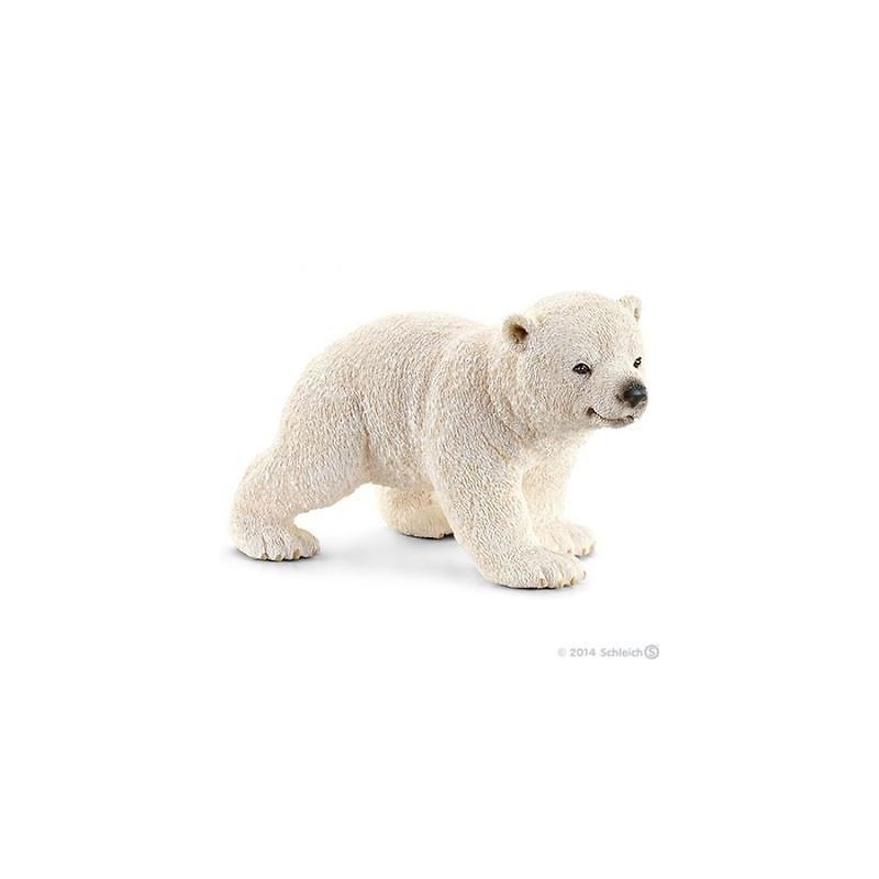 Ourson polaire - Wild Life Ourson polaire - Wild Life