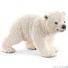 Ourson polaire - Wild Life