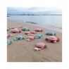 Sauvenou la tortue géante rose - Collection Ptipotos