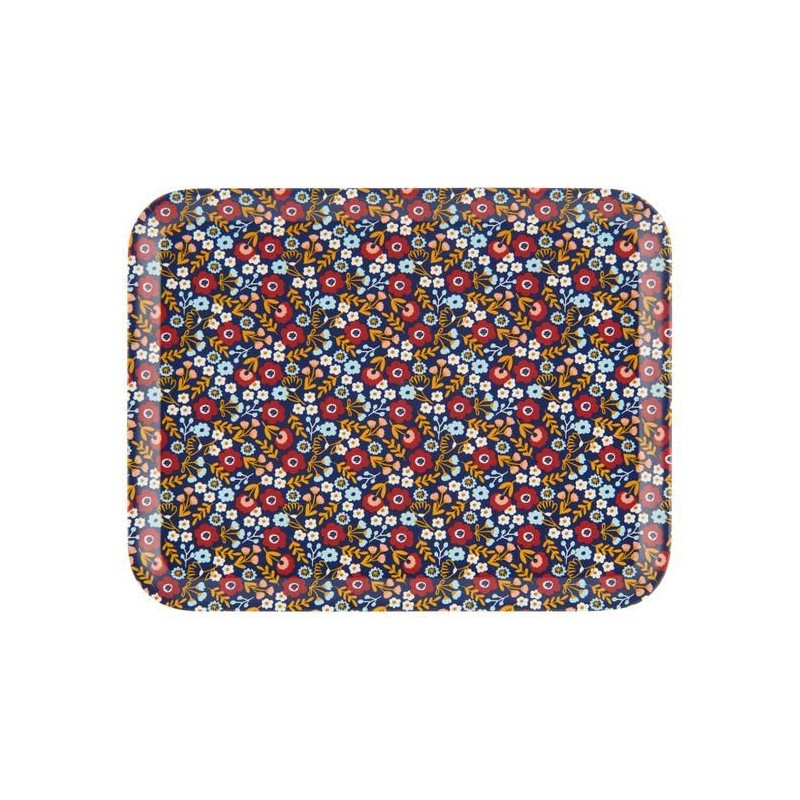 Plateau RAXE - Liberty hiver