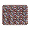 Plateau RAXE - Liberty hiver