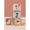 Little Dutch - Ensemble de blocs souples Flowers & Butterflies