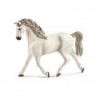 Jument Holstein - Horse club