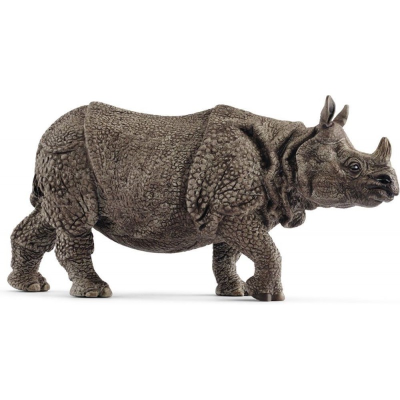 Rhinocéros indien - Wild Life