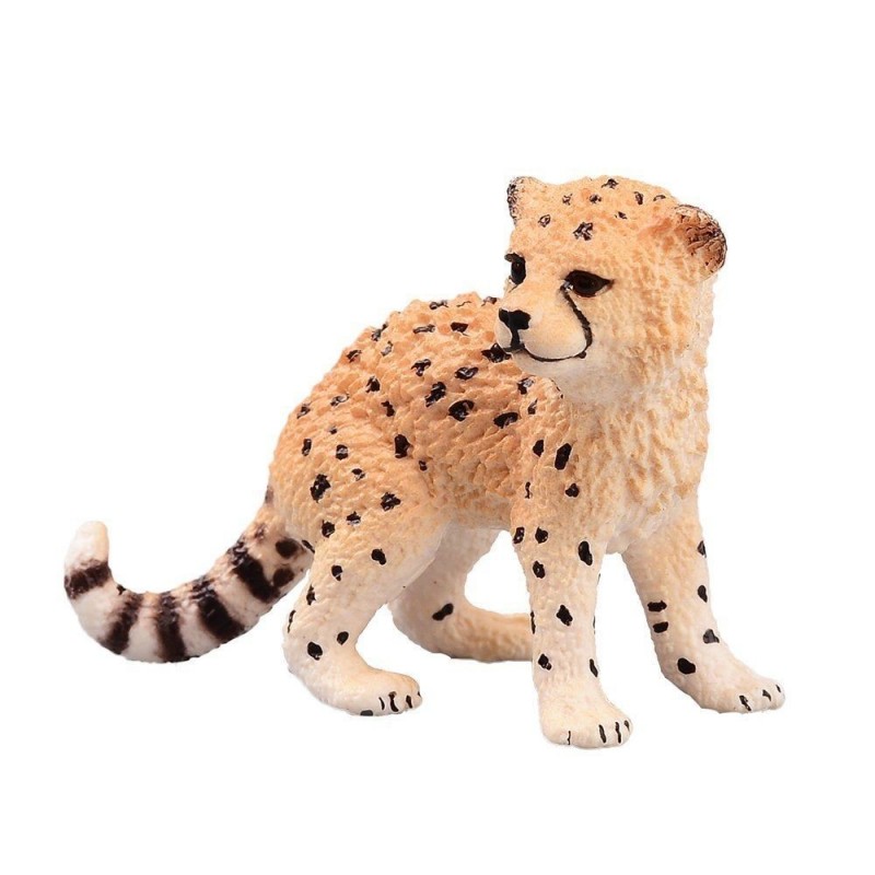 Bébé guépard - Wild Life Bébé guépard - Wild Life