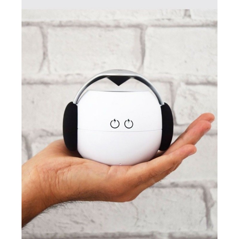 Enceinte Lyly blanche Enceinte Lyly blanche