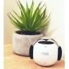 Enceinte Lyly blanche