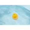 Gaspard - cracheur de bain