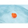 Paulette - cracheur de bain