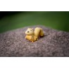 Tikiri Chenille - Mon premier animal de jardin