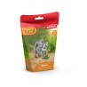 Maman Koala avec son bébé - Wild Life
