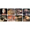 Lampe de poche & projecteur dino