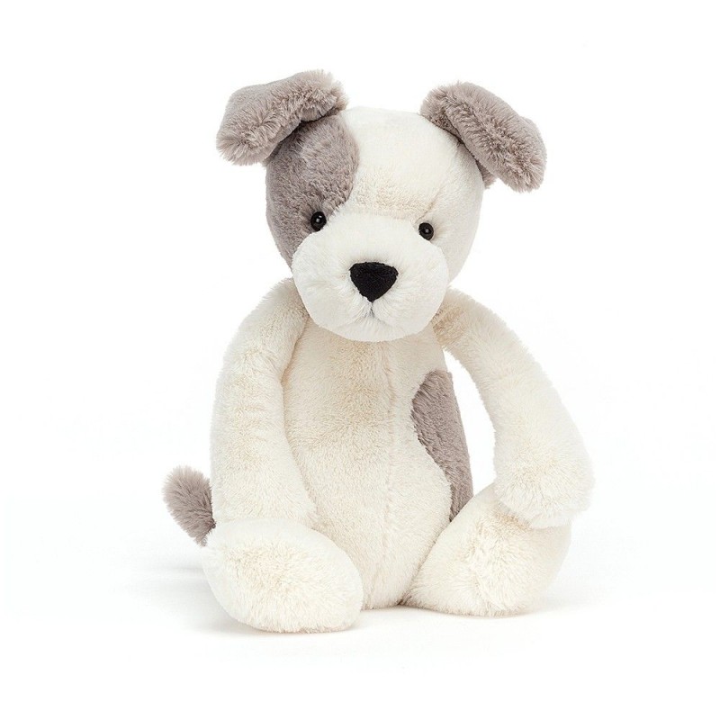 Bashful Terrier Medium Bashful Terrier Medium
