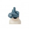 Gourde isotherme triple paroi - Espace