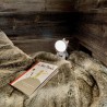 Lampe Kidylamp Chien