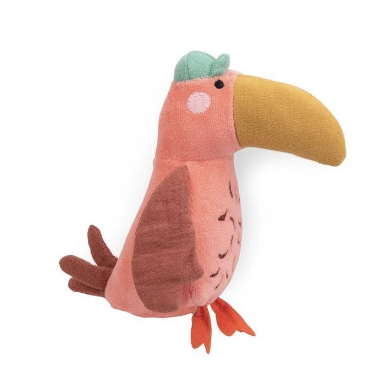 Toucan - Les Toupitis Toucan - Les Toupitis