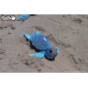 Eugy 3D  : Tortue